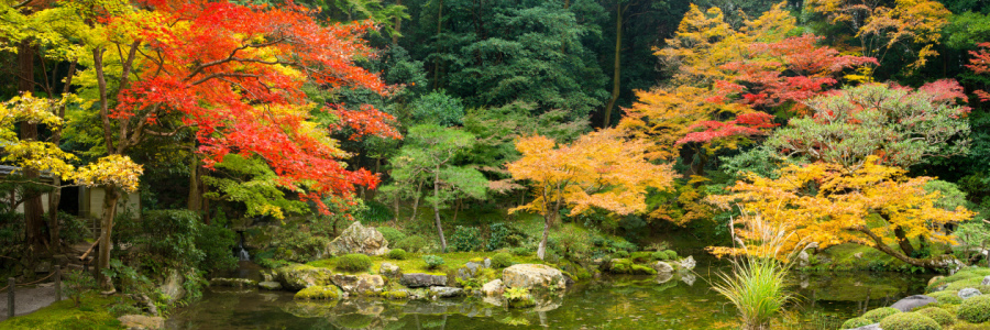 Bild-Nr: 10940529 Japanischer Garten Erstellt von: eyetronic