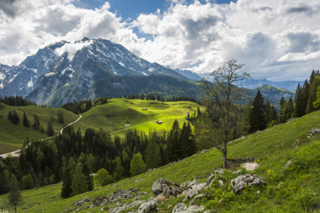 Bild-Nr: 11000718 Almenlandschaft Erstellt von: Daniela Beyer