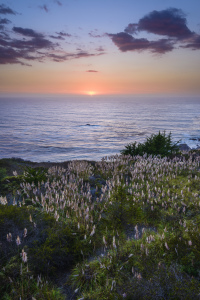 Bild-Nr: 11067555 Big Sur Sunset Erstellt von: DenisFeiner