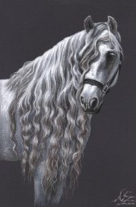 Bild-Nr: 11102075 Andalusier - Andalusian Horse Erstellt von: NicoleZeug