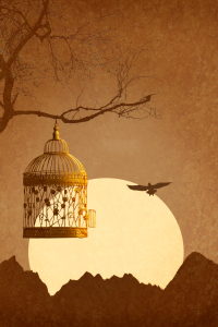Bild-Nr: 11130396 Freiheit aus dem goldenen Käfig Erstellt von: Mausopardia