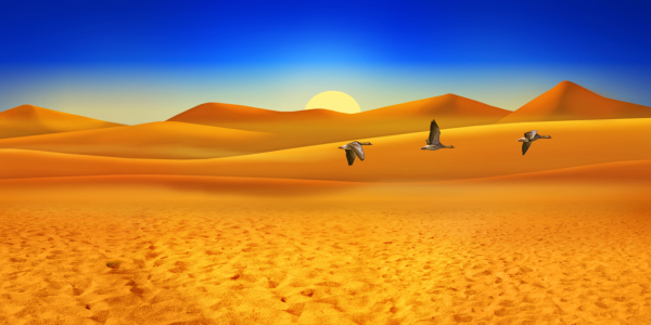 Bild-Nr: 11160920 Flug durch die Wüste Erstellt von: Mausopardia