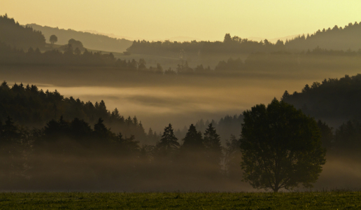 Bild-Nr: 11210676 Morgennebel Erstellt von: Fotostyler