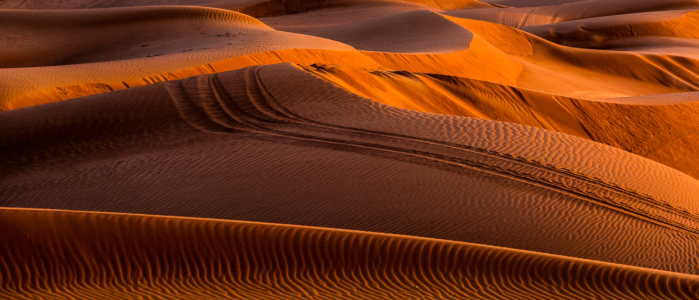 Bild-Nr: 11246378 Dubai - Wüstenansicht  Erstellt von: Jean Claude Castor
