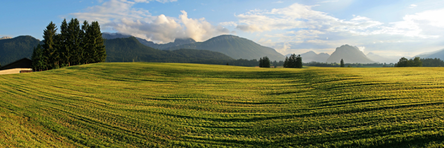 Bild-Nr: 11321516 Allgäu Panorama  Erstellt von: Mausopardia