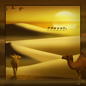 Bild-Nr: 11340986 Rein in die Wüste, Variante 2 quadratisch Erstellt von: Mausopardia