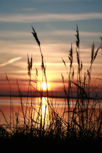 Bild-Nr: 11352478 Sonnenuntergang über Hiddensee Erstellt von: mobil-foto-de