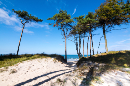 Bild-Nr: 11357118 Darß - am Weststrand Erstellt von: Reiner Würz