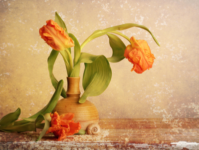 Bild-Nr: 11448518 vintage tulips Erstellt von: Rolf Eschbach