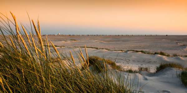 Bild-Nr: 11460415 Nordsee - Abendrot über Amrum Erstellt von: Reiner Würz