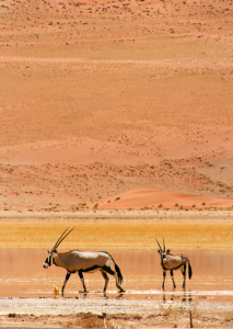 Bild-Nr: 11531268 Fußbad in der Wüste Erstellt von: poncha