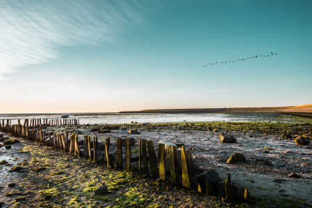 Bild-Nr: 11592518 Wattenmeer Erstellt von: hannes cmarits