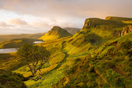 Bild-Nr: 11598472 The Quiraing, Skye, Schottland Erstellt von: orxy