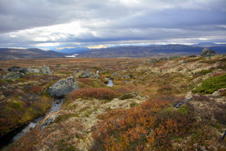 Bild-Nr: 11612257 unterwegs im Dovrefjell-Nationalpark Erstellt von: GUGIGEI