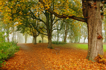 Bild-Nr: 11613707 Herbsttagsidylle Erstellt von: Ostfriese