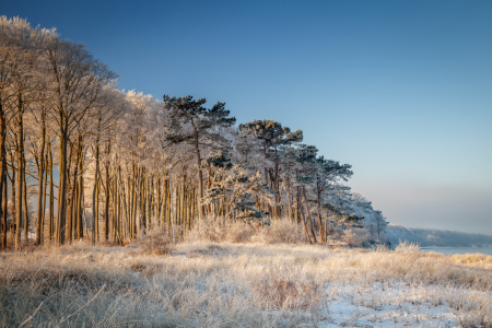 Bild-Nr: 11678092 Winter am Strand Erstellt von: FotoDeHRO