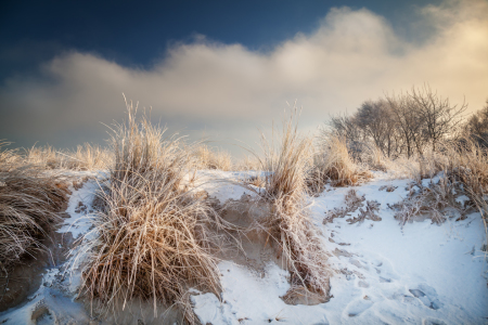 Bild-Nr: 11679748 Im Winter Erstellt von: FotoDeHRO