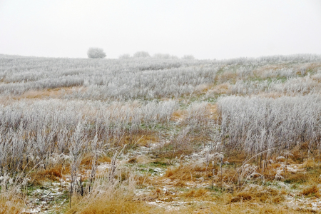 Bild-Nr: 11686598 Die Winterfelder Erstellt von: Ostfriese