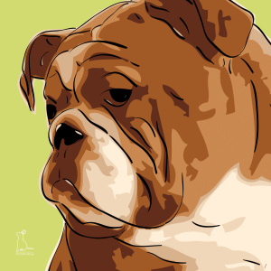 Bild-Nr: 11692538 Englische Bulldogge Erstellt von: lixxconsult