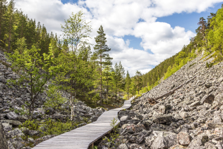 Bild-Nr: 11709236 Wanderpfad im Pyhä-Luosto National Park - Finnland 5 Erstellt von: Anja Schäfer
