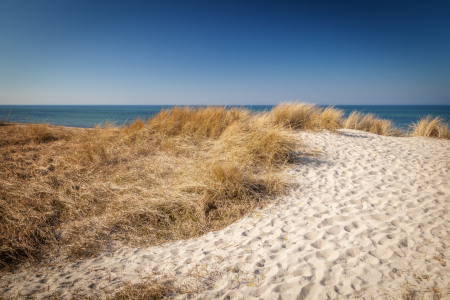 Bild-Nr: 11719322 Dünen an der Ostsee Erstellt von: FotoDeHRO