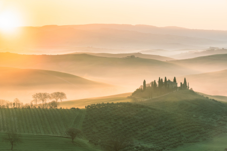 Bild-Nr: 11728800 Golden Morning Erstellt von: Achim Thomae