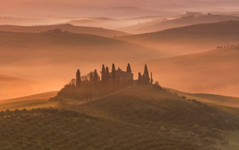 Bild-Nr: 11728890 Golden Morning Erstellt von: Achim Thomae