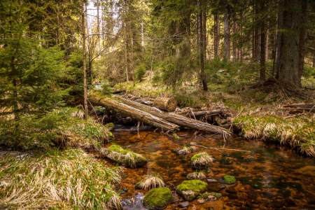 Bild-Nr: 11747850 Im Harz Erstellt von: FotoDeHRO