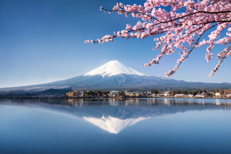 Bild-Nr: 11756576 Fuji in Japan zur Kirschblüte  Erstellt von: eyetronic