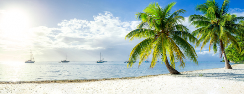 Bild-Nr: 11761162 Strand Panorama in der Karibik Erstellt von: eyetronic