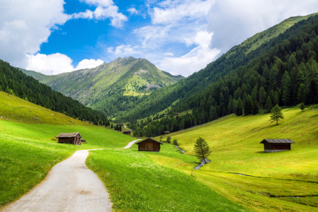 Bild-Nr: 11795448 Alto Adige Südtirol Erstellt von: Reiner Würz