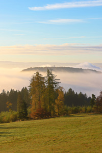 Bild-Nr: 11845459 Sehr herbstlich Erstellt von: falconer59