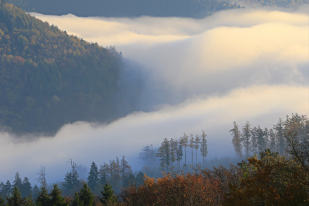 Bild-Nr: 11845477 Nebel fliesst durch das Tal 2 Erstellt von: falconer59