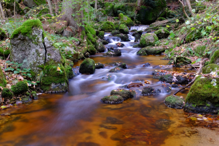 Bild-Nr: 11854373 Ysperklamm 1 Erstellt von: haiderreini