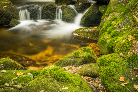 Bild-Nr: 11865650 Natur Wildnis Wasser Erstellt von: luxpediation