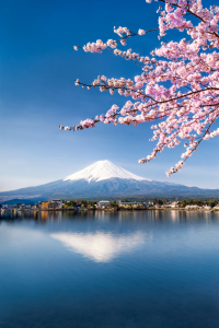 Bild-Nr: 11872949 Berg Fuji und See Kawaguchiko im Frühling Erstellt von: eyetronic