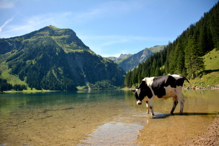 Bild-Nr: 11884952 Badetag Erstellt von: GUGIGEI