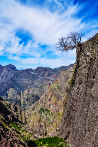 Bild-Nr: 11887134 über der Schlucht Erstellt von: georgfotoart