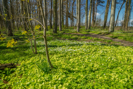 Bild-Nr: 11901553 Naturerwachen Erstellt von: FotoDeHRO