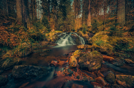 Bild-Nr: 11913525 Wasserfall im Harz 1 Erstellt von: Steffen Gierok