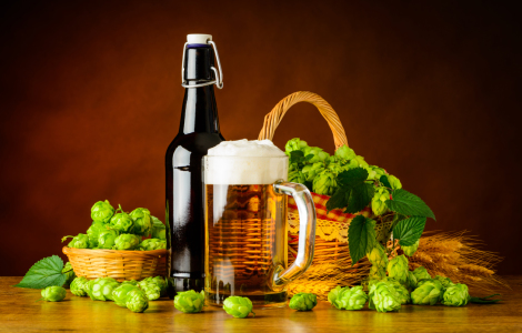 Bild-Nr: 11915413 Stillleben Flasche und Maß Bier mit Hopfen Erstellt von: xfotostudio