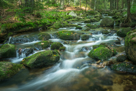 Bild-Nr: 11915415 Bachlauf im Nationalpark bei Spiegelau Erstellt von: luxpediation