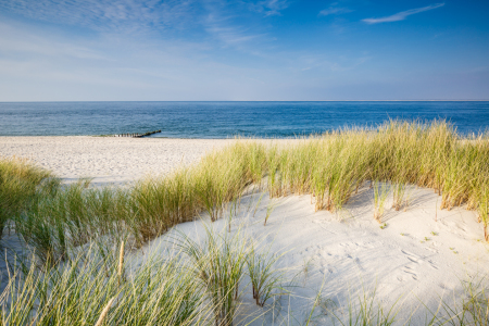 Bild-Nr: 11918269 Sommer auf Sylt Erstellt von: Ursula Reins