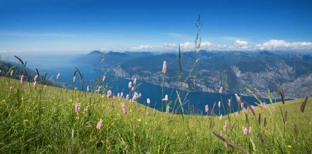 Bild-Nr: 11921668 Gardaseeblick Monte Baldo II Erstellt von: SusaZoom