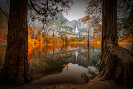 Bild-Nr: 11921821 Yosemite Falls Erstellt von: TomKli