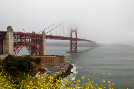Bild-Nr: 11933536 Golden Gate Bridge im Nebel Erstellt von: DirkR