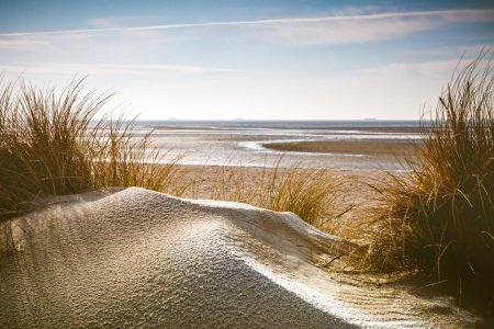 Bild-Nr: 11983718 Dünen im Frühjahr auf der Nordseeinsel Föhr Erstellt von: Konstantin-Articus