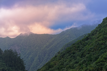 Bild-Nr: 12022770 Madeira Landschaft Erstellt von: Dennis Gross