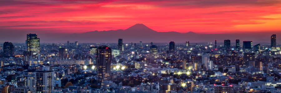Bild-Nr: 12040915 Tokyo Panorama mit Berg Fuji Erstellt von: eyetronic