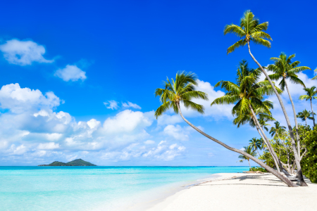 Bild-Nr: 12055438 Urlaub auf einer tropischen Insel Erstellt von: eyetronic